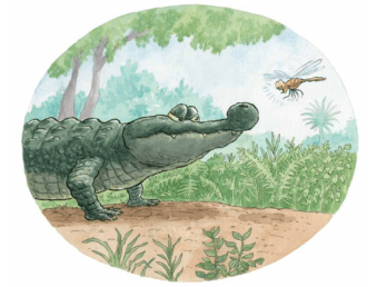 celebrate-picture-books-picture-book-review-there-was-an-old-gator-who-swallowed-a-moth-last-moth