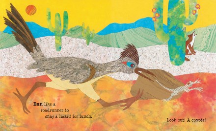 celebrate-picture-books-picture-book-review-paddle-perch-climb-roadrunner