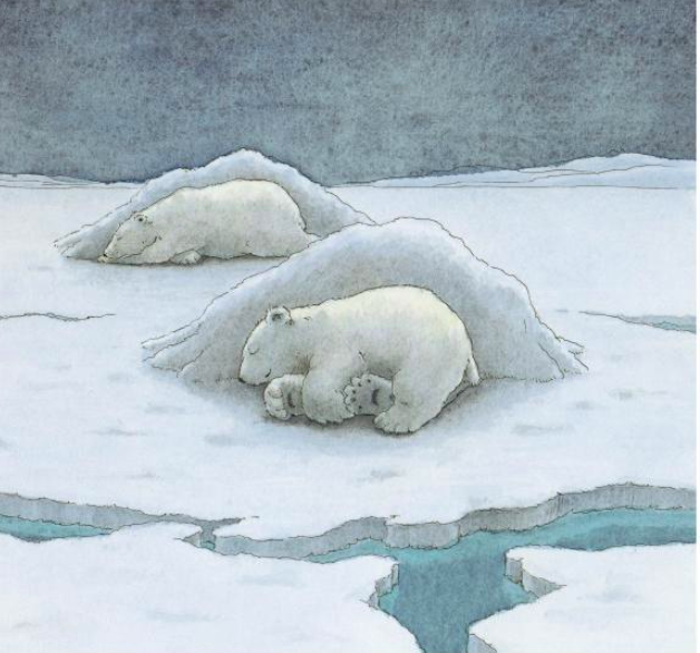 celebrate-picture-books-picture-book-review-the-little-polar-bear-sleeping