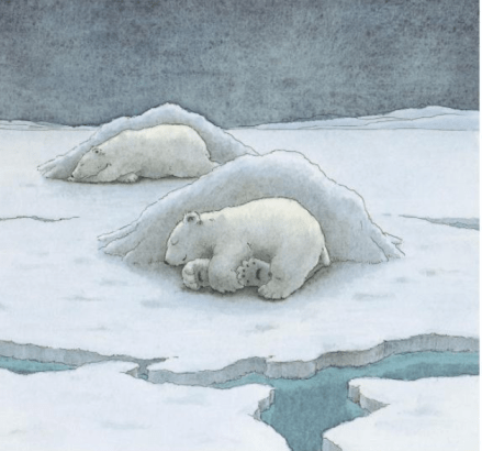 celebrate-picture-books-picture-book-review-the-little-polar-bear-sleeping