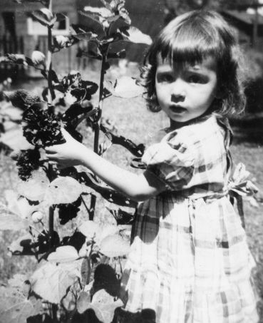 celebrate-picture-books-picture-book-review-marsha-diane-arnold-childhood-photo