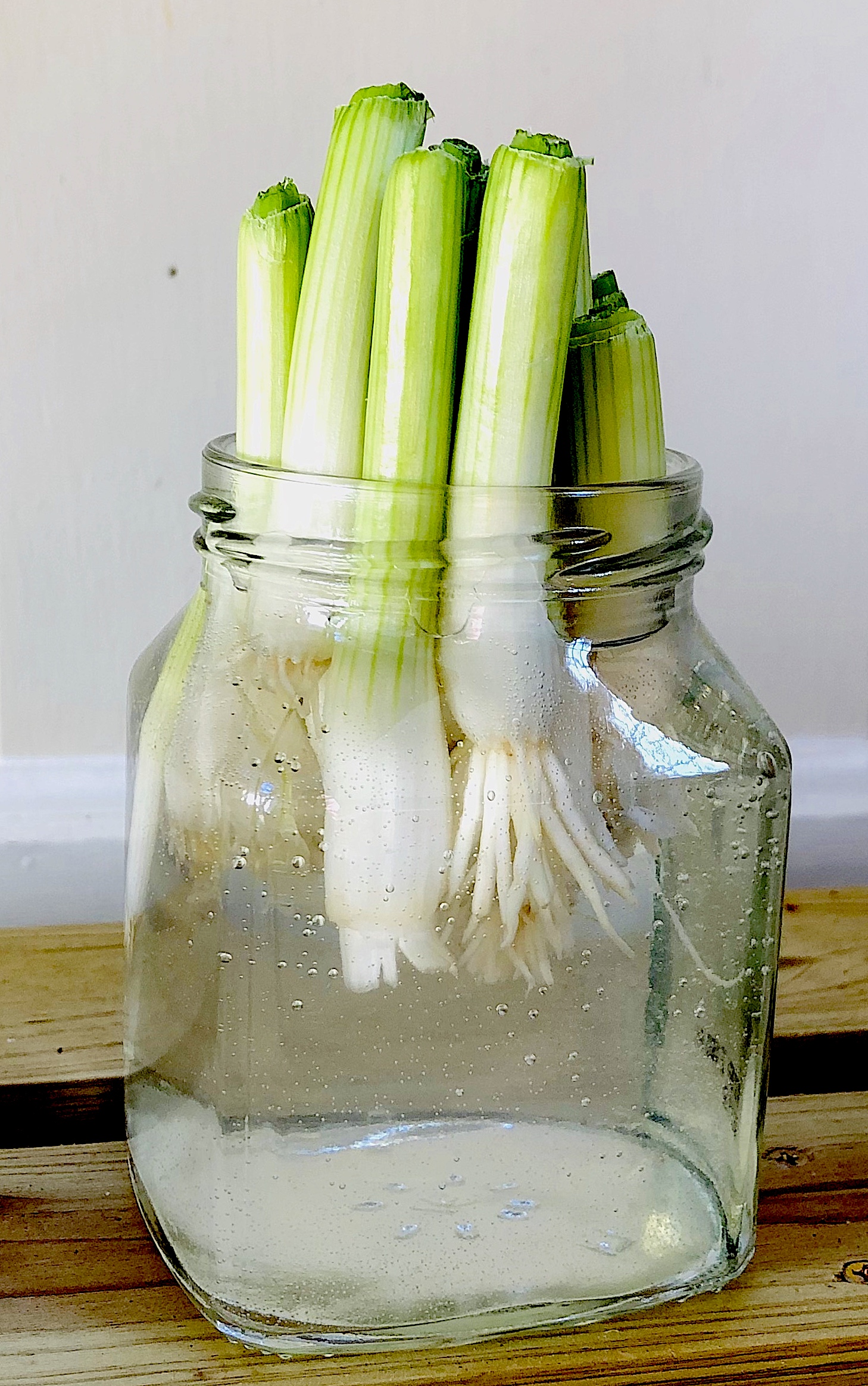 celebrate-picture-books-picture-book-review-Green-Onion-Jar-Day1
