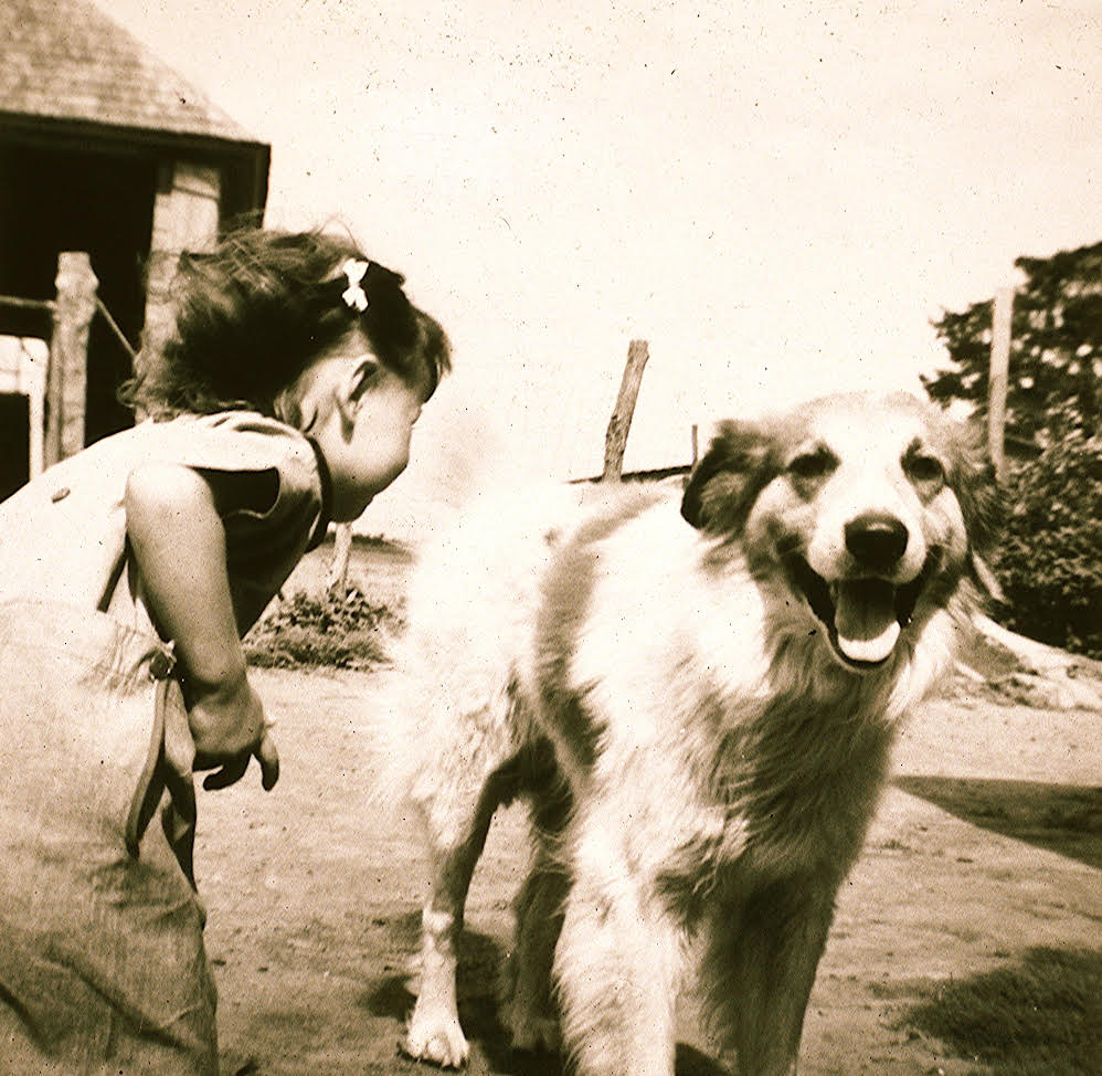 celebrate-picture-books-picture-book-review-Marsha-Diane-Arnold-and-dog