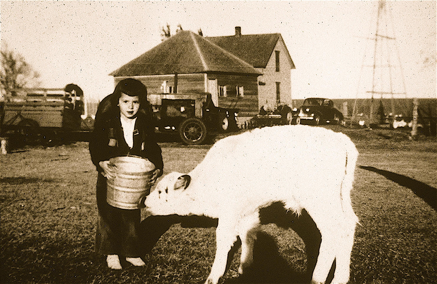 celebrate-picture-books-picture-book-review-Marsha-Diane-Arnold-and-calf