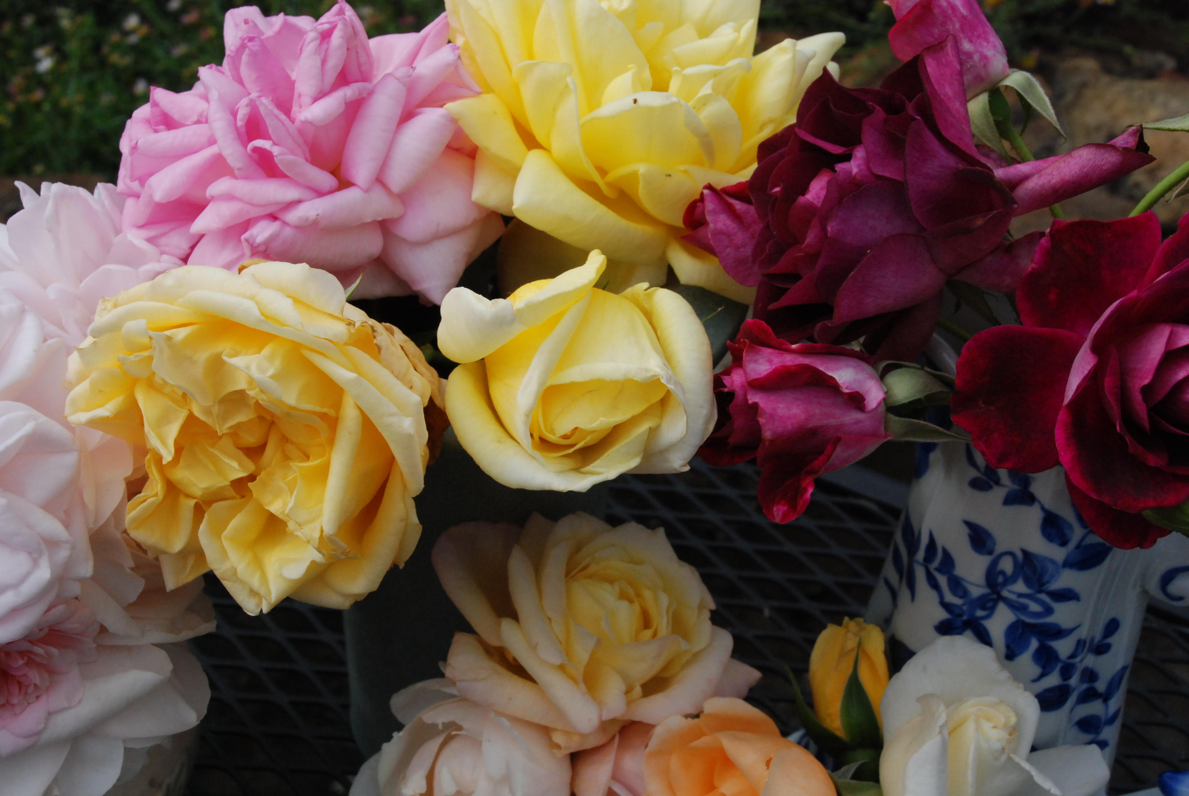 celebrate-picture-books-picture-book-review-flowers