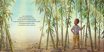celebrate-picture-books-picture-book-review-the-boy-who-grew-a-forest-bamboo
