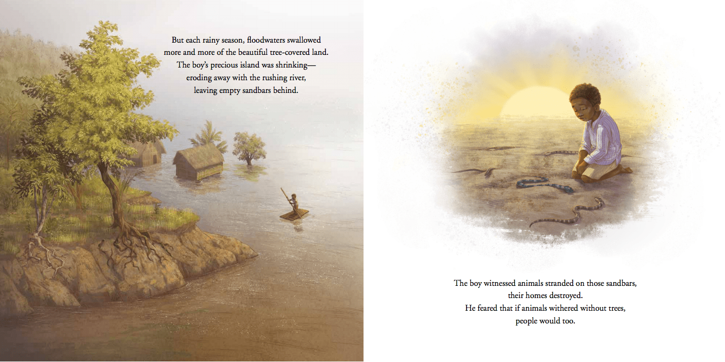 celebrate-picture-books-picture-book-review-the-boy-who-grew-a-forest-erosion
