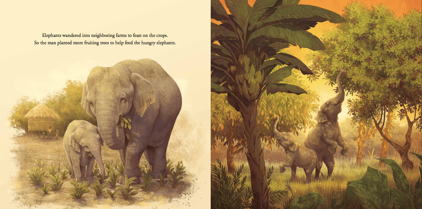 celebrate-picture-books-picture-book-review-the-boy-who-grew-a-forest-elephantscelebrate-picture-books-picture-book-review-the-boy-who-grew-a-forest-elephants