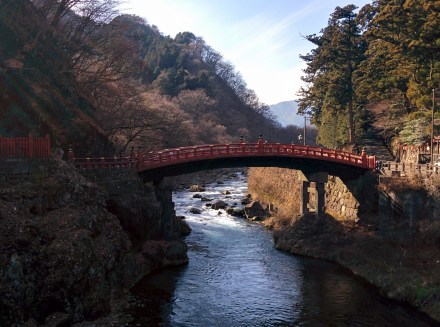 celebrate-picture-books-picture-book-review-Bridge-in-Nikko-Japan-Jane-Whittingham-Interview