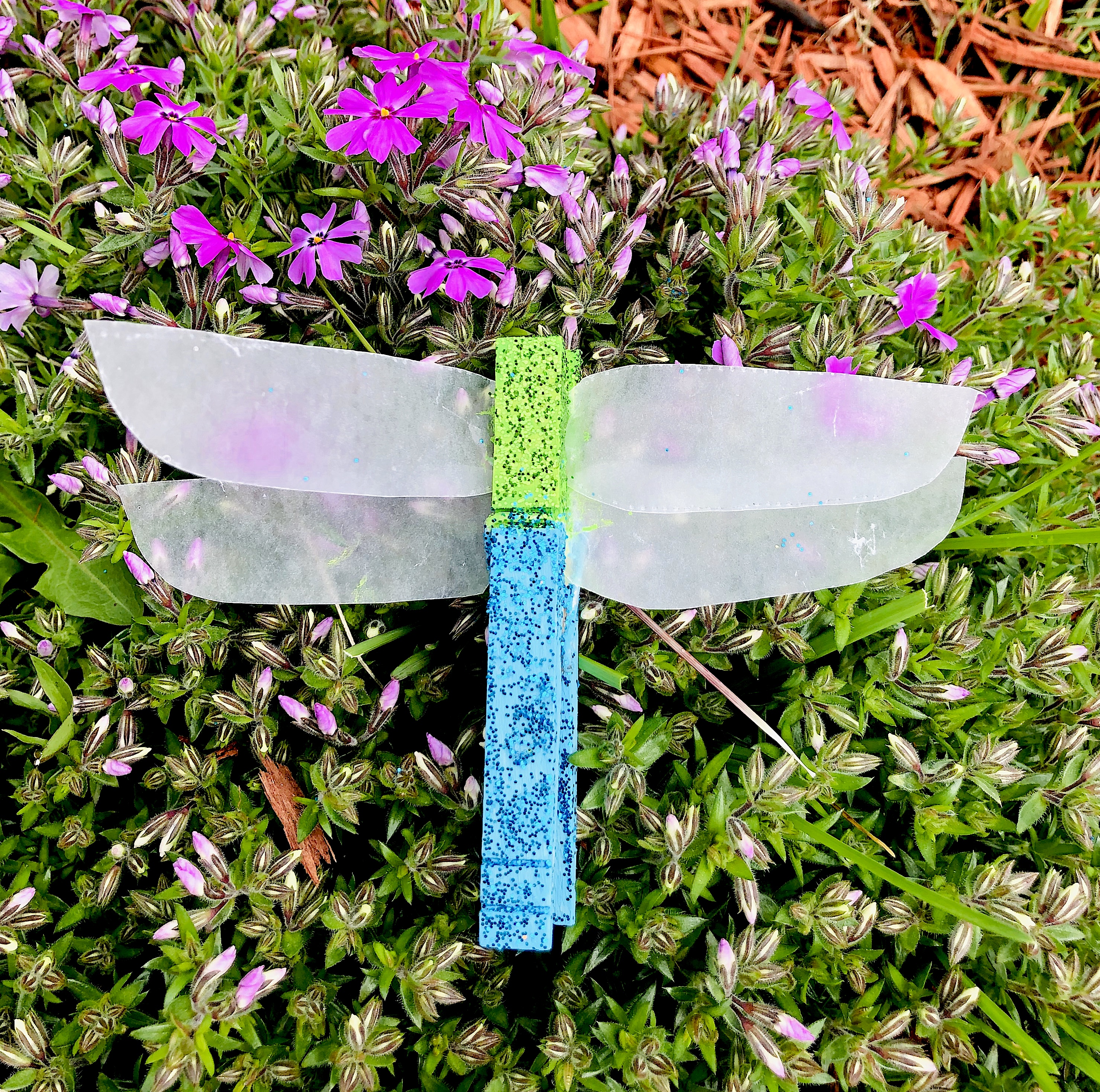 celebrate-picture-books-picture-book-review-dragonfly-craft