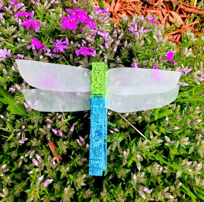 celebrate-picture-books-picture-book-review-dragonfly-craft