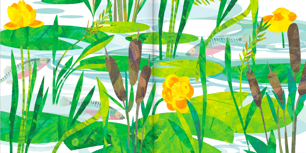 celebrate-picture-books-picture-book-review-soar-high-dragonfly-pond