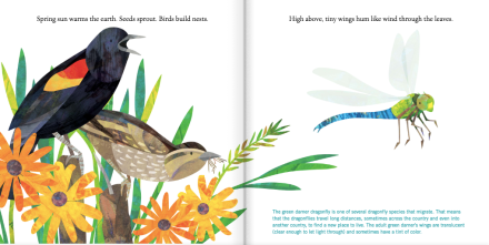 celebrate-picture-books-picture-book-review-birds