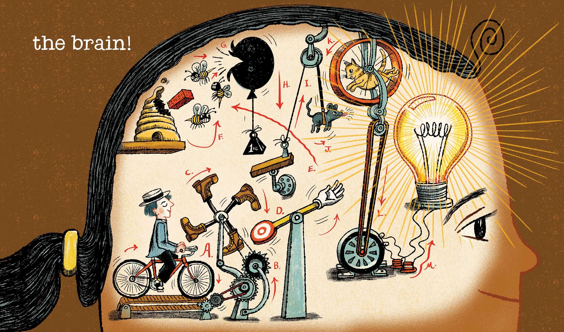 celebrate-picture-books-picture-book-review-just-like-rube-goldberg-brain