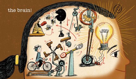 celebrate-picture-books-picture-book-review-just-like-rube-goldberg-brain