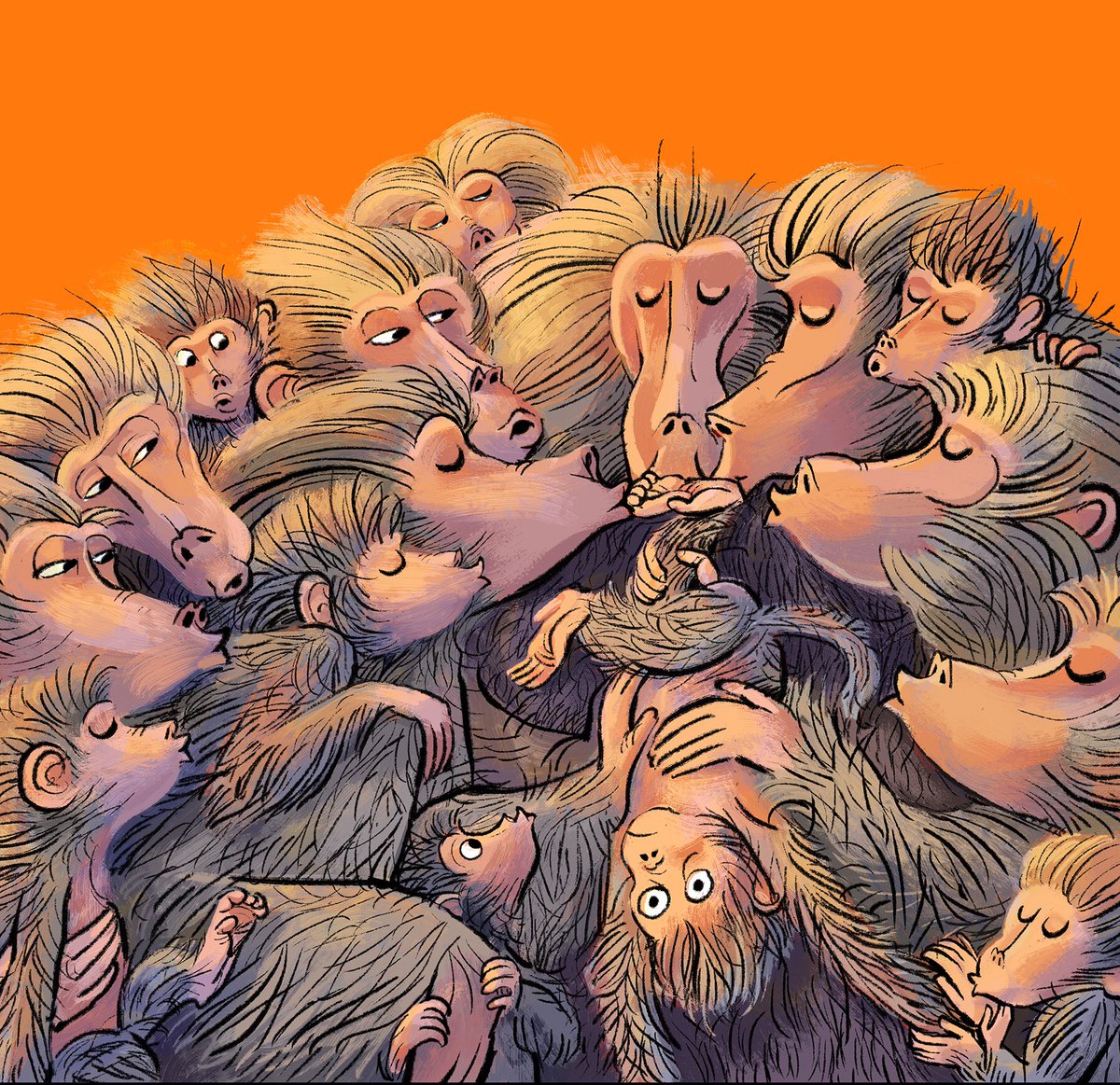 celebrate-picture-books-picture-book-review-leyla-kisses