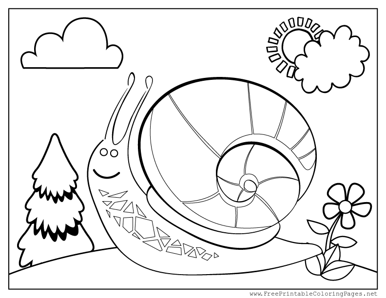 celebrate-picture-books-picture-book-review-snail-coloring-page
