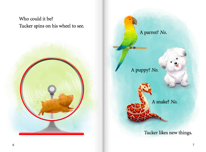 celebrate-picture-books-picture-book-review-tip-and-tucker-road-trip-pets