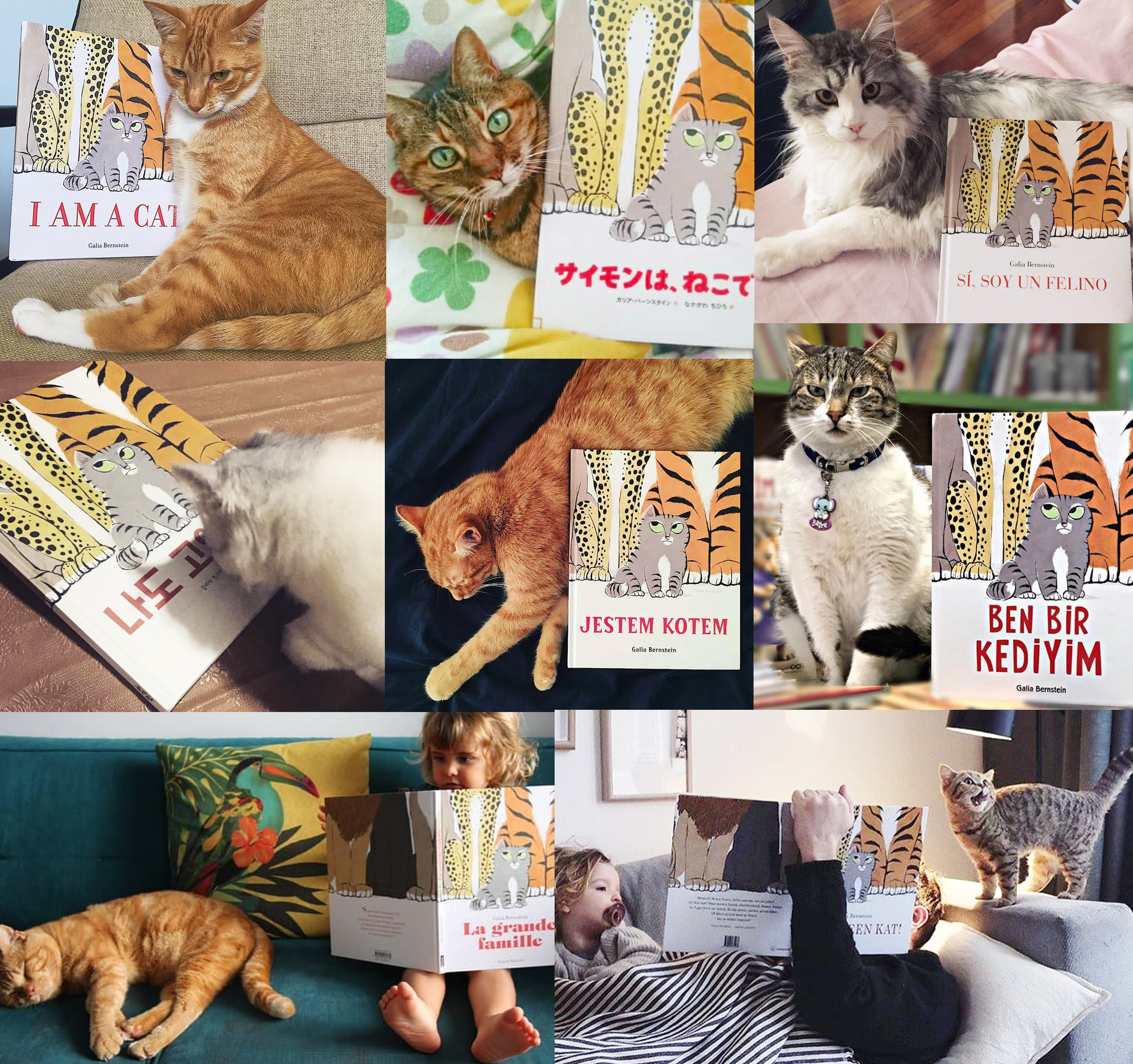 celebrate-picture-books-picture-book-review-interview-with-Galia-Bernstein