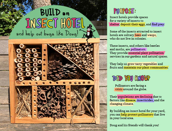 celebrate-picture-books-nature's-giants-insect-hotel-craft