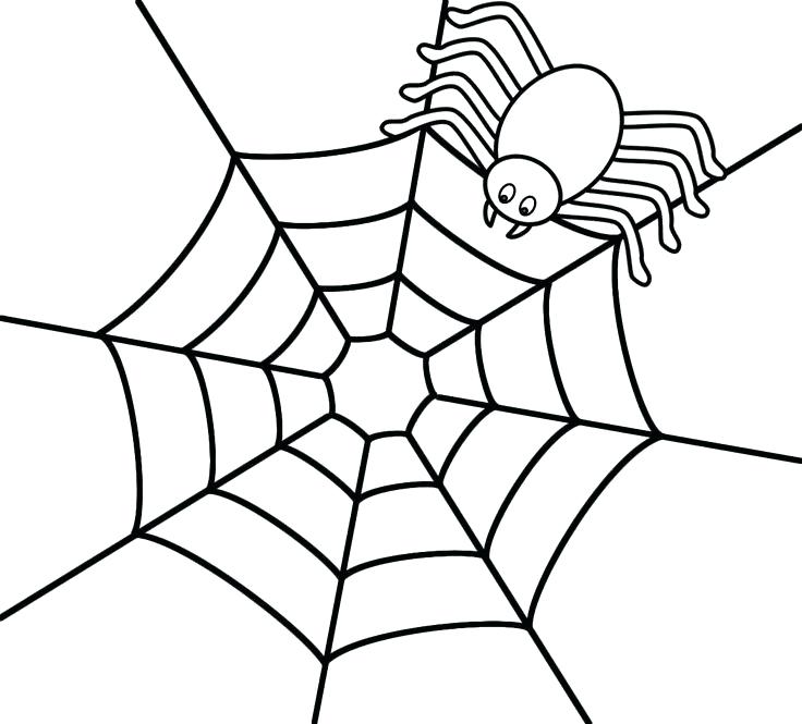 celebrate-picture-books-picture-book-review-spider-coloring-page
