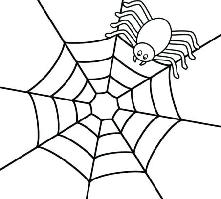 celebrate-picture-books-picture-book-review-spider-coloring-page