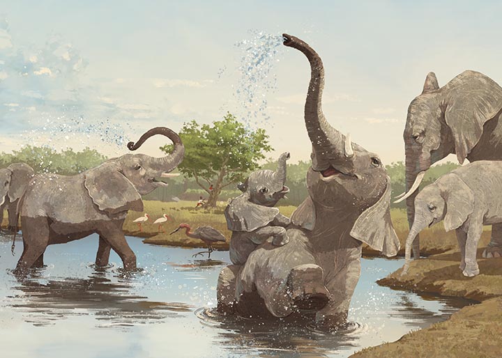 celebrate-picture-books-picture-book-review-our-elephant-neighbors-splashing