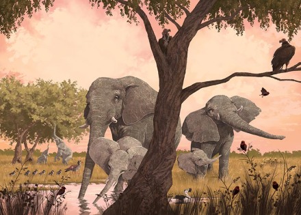celebrate-picture-books-picture-book-review-our-elephant-neighbors-elephant-family