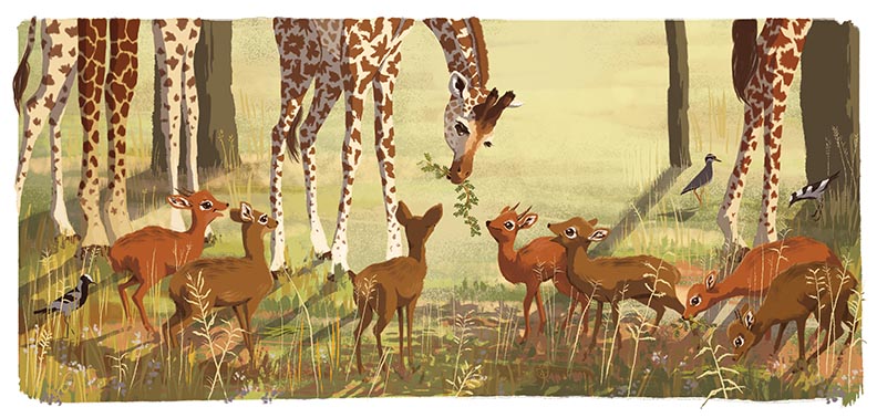 celebrate-picture-books-picture-book-review-juma-the-giraffe-juma-and-dik-diks