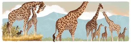 celebrate-picture-books-picture-book-review-juma-the-giraffe-herd