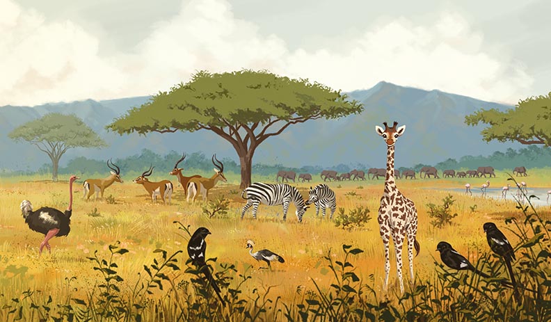 celebrate-picture-books-picture-book-review-juma-the-giraffe-juma-and-panorama