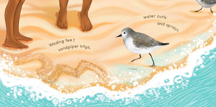 celebrate-picture-books-picture-book-review-sandy-feet-whose-feet-sand-piper