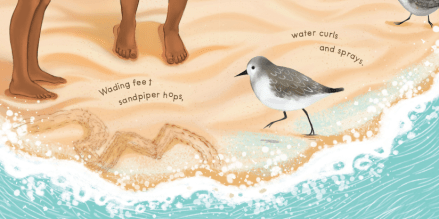 celebrate-picture-books-picture-book-review-sandy-feet-whose-feet-sand-piper