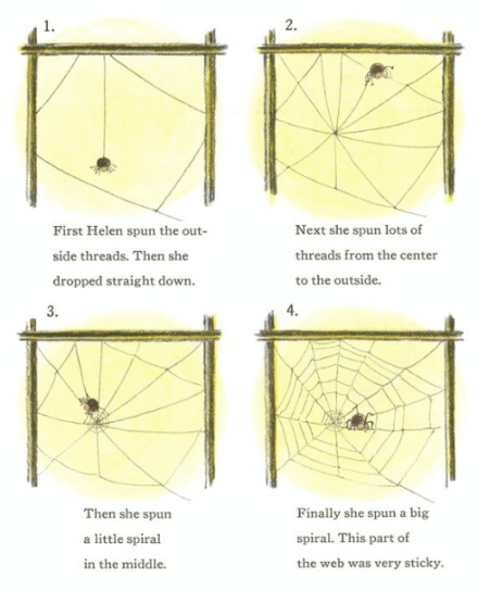 celebrate-picture-books-picture-book-review-be-nice-to-spiders-web