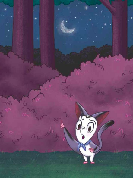 celebrate-picture-books-picture-book-review-the-peculiar-possum-bismark