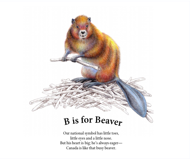 celebrate-picture-books-picture-book-review-c-is-for-canada-aruroa-beaver