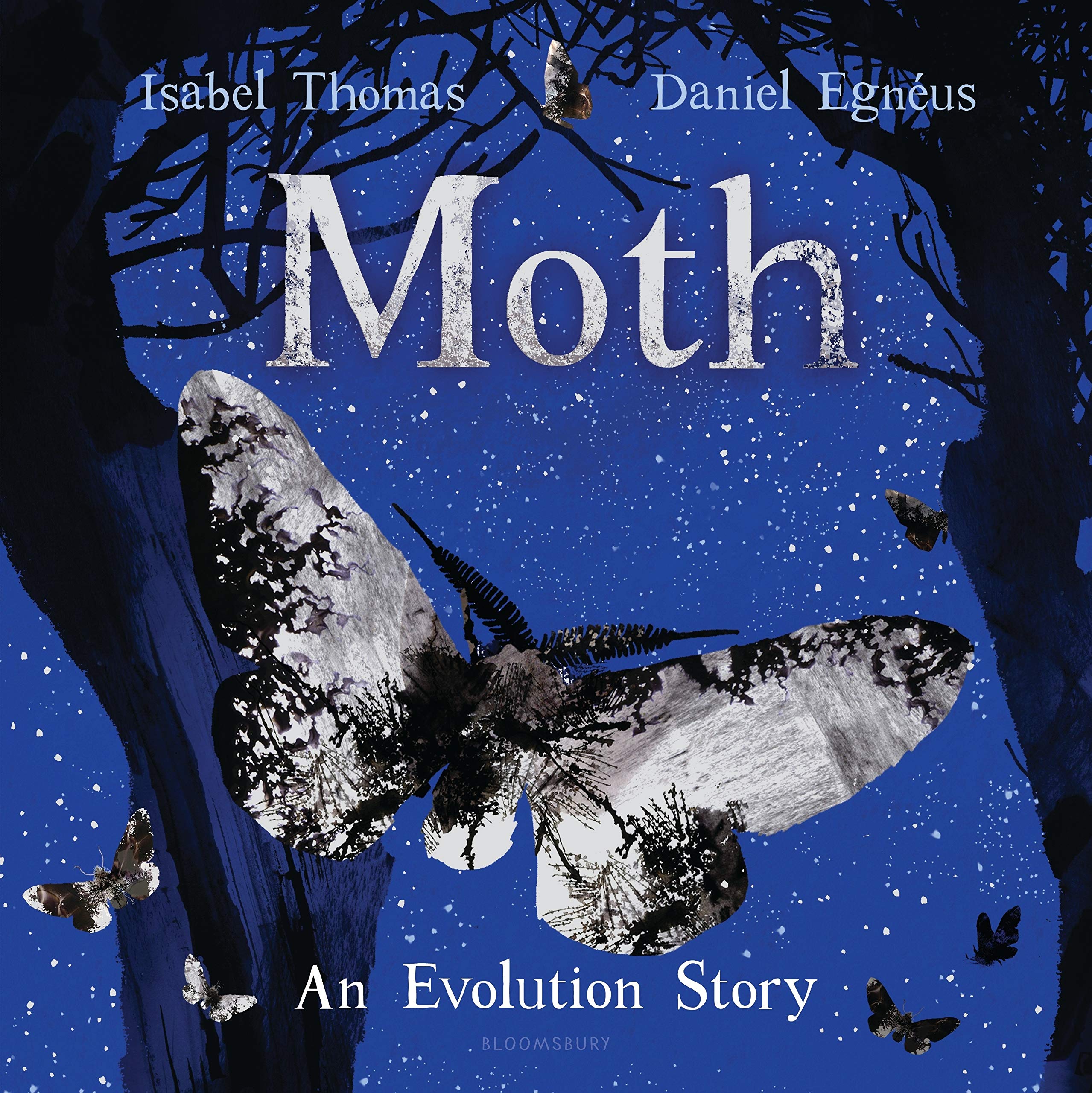 celebrate-picture-books-picture-book-review-moth-an-evolution-story-cover