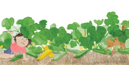 celebrate-picture-books-picture-book-review-zora's-zucchini-lots-of-zucchini