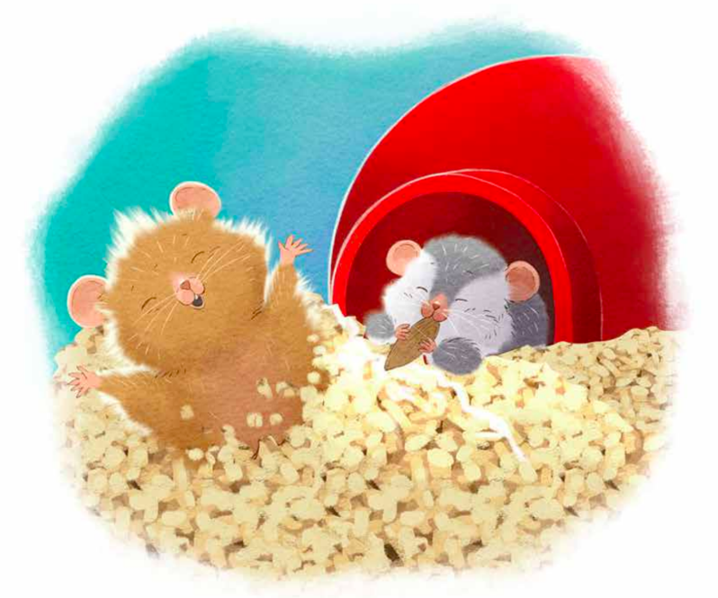 celebrate-picture-books-picture-book-review-tip-and-tucker-hide-and-squeak-home