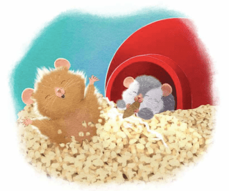 celebrate-picture-books-picture-book-review-tip-and-tucker-hide-and-squeak-home