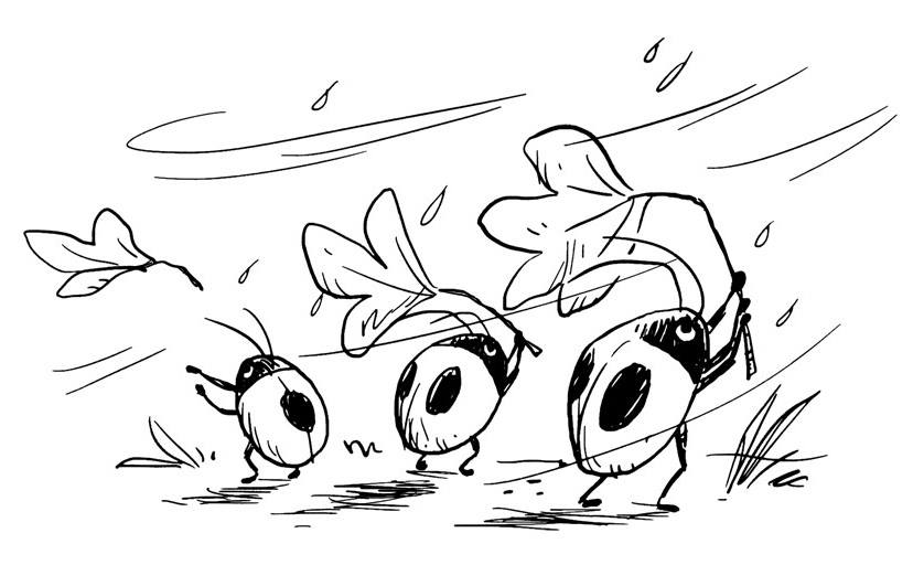 celebrate-picture-books-picture-book-review-Ladybug-Concept-WTMT