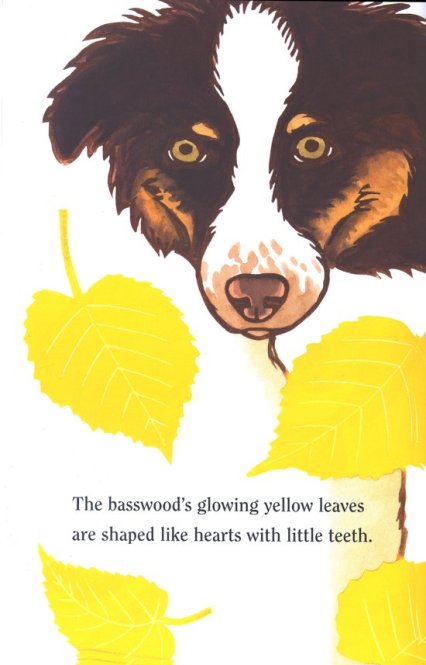 celebrate-picture-books-picture-book-review-leaf-jumpers-dog