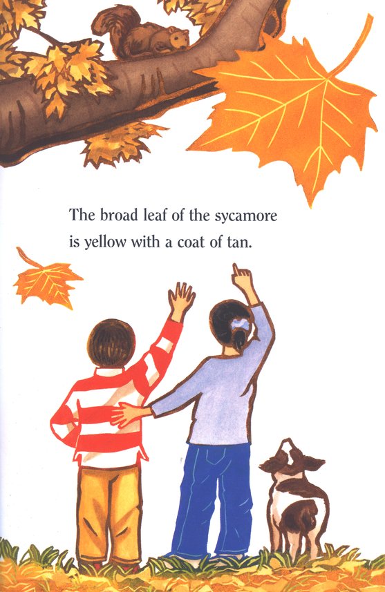 celebrate-picture-books-picture-book-review-leaf-jumpers-squirrel