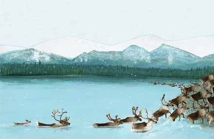 celebrate-picture-books-picture-book-review-migration-incredible-animal-journeys-caribou
