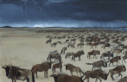 celebrate-picture-books-picture-book-review-migration-incredible-animal-journeys-wildebeasts