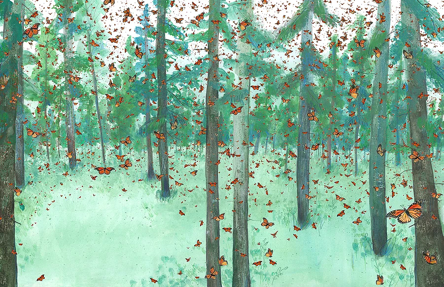 celebrate-picture-books-picture-book-review-migration-incredible-animal-journeys-butterflies