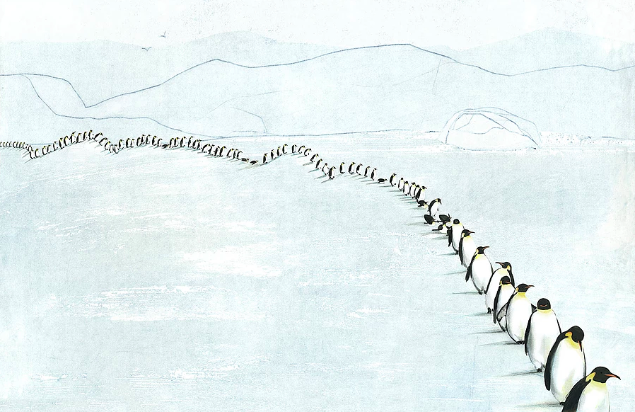 celebrate-picture-books-picture-book-review-migration-incredible-animal-journeys-penguins