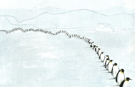 celebrate-picture-books-picture-book-review-migration-incredible-animal-journeys-penguins