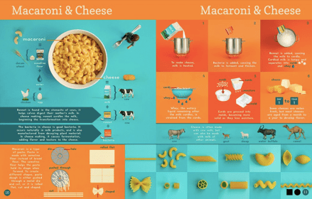 celebrate-picture-books-picture-book-review-now-you-know-what-you-eat-macaroni-and-cheese