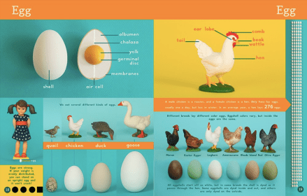 celebrate-picture-books-picture-book-review-now-you-know-what-you-eat-egg